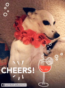 dog celebrate howl cheers cocktail