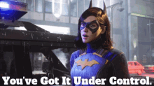 Gotham Knights Batgirl GIF - Gotham Knights Batgirl Youve Got It Under Control GIFs