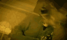 Frustrated Crazy GIF - Frustrated Crazy Rampage GIFs
