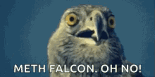 Eagle Shocked GIF - Eagle Shocked Omg GIFs