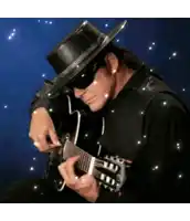 a man in a cowboy hat playing a guitar