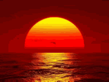 Sunshine Sunset GIF