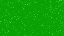 Green Color GIF - Green Color GIFs