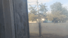a fence is visible through a window with a tree in the background