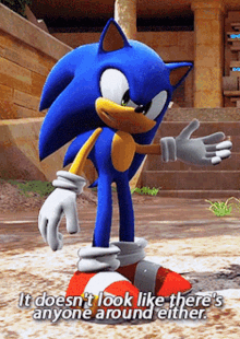 Sonic Unleashed It Doesnt Look Like GIF