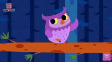 wink pinkfong believe it or not owl night animals