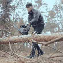 Cutting Trees Jan Dabrowski GIF
