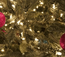 Christmas GIF - Christmas Tree Red And Gold Christmas Lights GIFs
