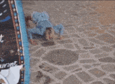 a person crawling on the ground next to a sign that says ant