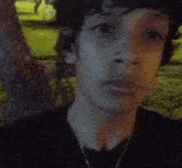 a young man with curly hair is standing next to a tree and looking at the camera .