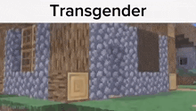 Trans Minecraft GIF - Trans Minecraft GIFs