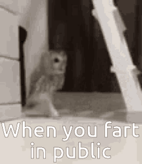 Public Farts GIF Public Farts Sneaky GIF 탐색 및 공유