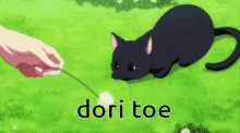 Dorito Dori Toe GIF - Dorito Dori Toe Dorito Cat GIFs