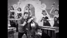 Double Jazz Bass Vintage GIF - Double Jazz Bass Vintage Music GIFs