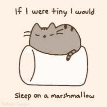 marshmallow cat