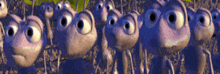 a bunch of cartoon ants with big eyes are standing in a field