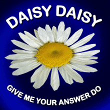 Daiy Daisy Give Me Your Answer Do GIF - Daiy Daisy Give Me Your Answer Do Answer Me GIFs
