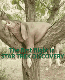 Star Trek Discovery GIF