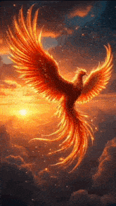 a phoenix is flying in the sky at sunset with its wings spread .