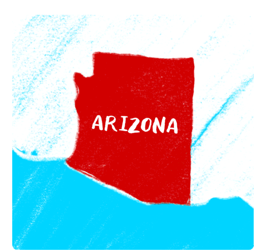 Naral Flip Arizona Sticker - Naral Flip Arizona Phoenix Stickers