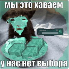 a cat with a green mask on its face is eating a pie .