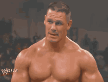 John Cena Pecs GIF - John Cena Pecs Muscles GIFs
