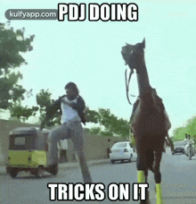 a man is riding a camel down a street with a caption that says `` pdj doing tricks on it '' .
