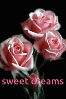 three pink roses are on a black background with the words sweet dreams