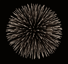 Fireworks Fourthofjuly GIF - Fireworks Fourthofjuly Newyear GIFs