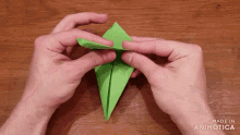 a person is holding a green piece of paper and the words made in animatica can be seen on the bottom