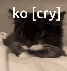 Ko Cry GIF