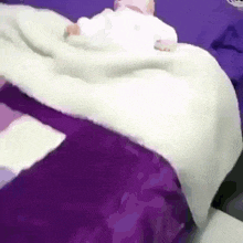 a person is laying on a bed with a purple comforter and a white blanket .