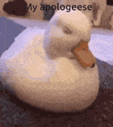 Apologeese Goose GIF - Apologeese Goose Sad GIFs