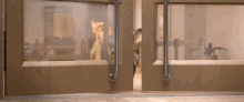 Its Night GIF - Zootopia Shocked Surprised GIFs