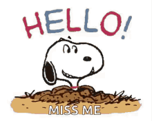 Snoopy Hello GIF - Snoopy Hello Miss GIFs