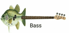 a bass guitar that looks like a fish with the word bass below it