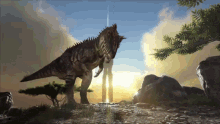 Carcharodontosaurus Carcharodontosaurus Ark GIF - Carcharodontosaurus Carcharodontosaurus Ark Ark GIFs