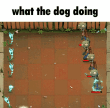 What The Dog Doing Reed GIF - What The Dog Doing Reed Pvz GIFs