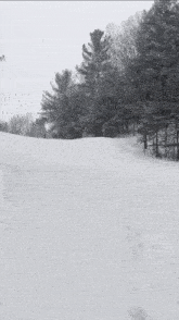 a snowy hillside with trees and a sign that says ' a '