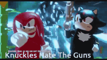 knuckles the echidna shadow the hedgehog hate the guns