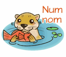 otter eating yum yummy num nom