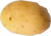 a close up of a potato with brown spots on it