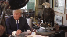 Thats What You Get Trump Office GIF - Thats What You Get Trump Office Eagle GIFs
