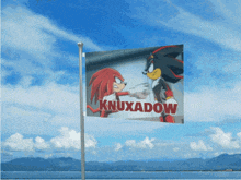 a sonic the hedgehog flag with knuxadow and shadow on it