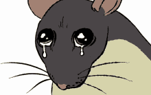 Sad Rat Crying Rat GIF - Sad Rat Crying Rat Profound Sadness GIFs