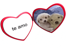 Dog Te Amo Heart Locket GIF