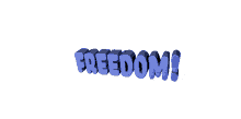 freedom merica