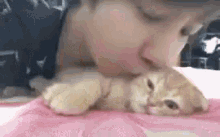 Chanyeol Kitty GIF - Chanyeol Kitty Kiss GIFs