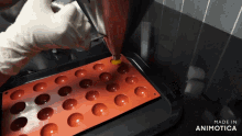 a person is pouring liquid into a silicone mould that says made in animotica on the bottom