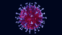 koronawirus wirus